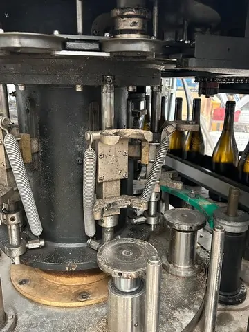 Used Wirehooder Robino&Galandrino Record 6 — 10