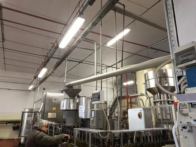 Used capper Bertolaso screw cap 8.000 bph — 7