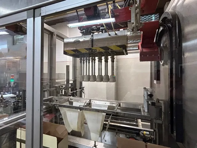 Used Case Packer APE Inca 2001 — 2