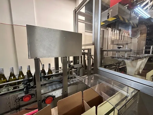 Used Case Packer APE Inca 2001 — 6