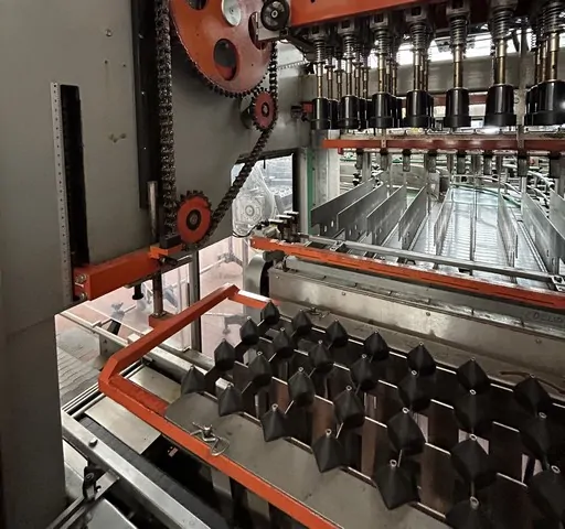 Used Case Packer Bortolin-Kemo I am 2t bi — 7