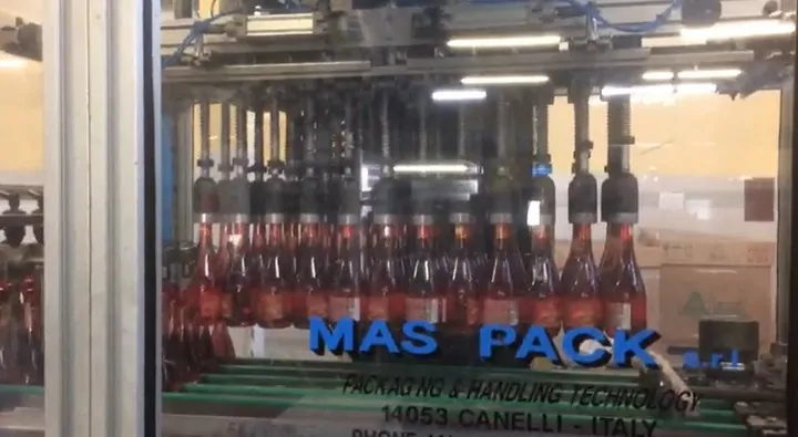 Used Case Packer Mas Pack Accupack 4.8 — 3