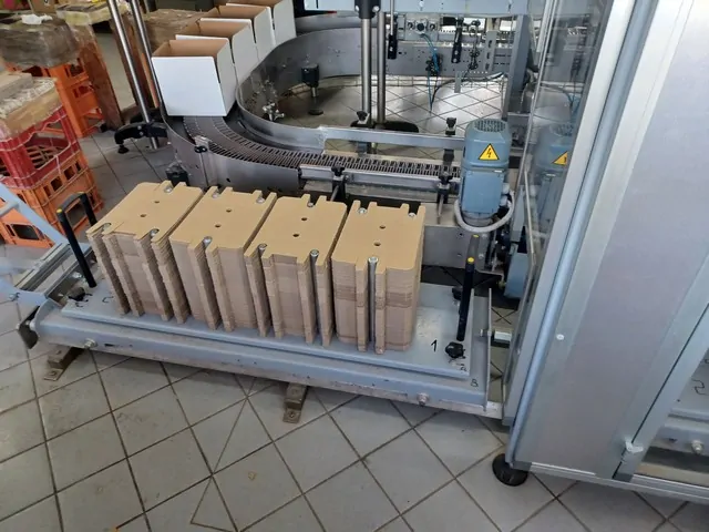 Used Case Packer Maspack Horizon 4 — 3