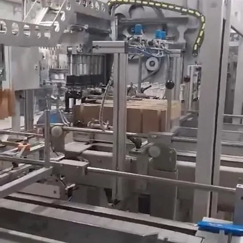 Used Case Packer Monoblock Bortolin-Kemo — 2