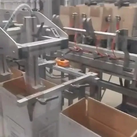Used Case Packer Monoblock Bortolin-Kemo — 3