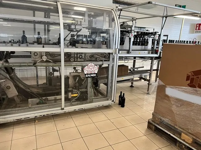 Used Case Packer Wrap-Around Baumer Flex 512/3