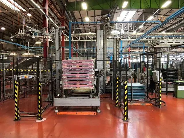Used Depalletizer Bortolin-Kemo Depalterm sp/02/v — 6