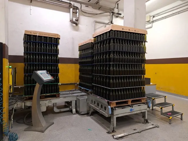 Used depalletizer Logik Lobster 2006 — 8