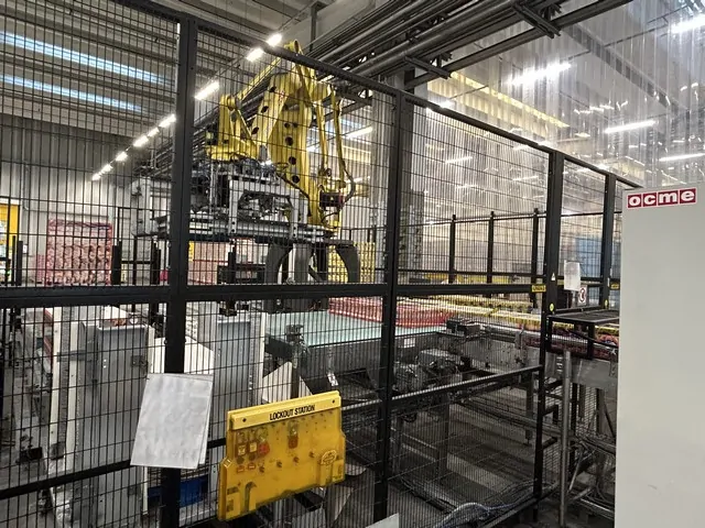 Used Depalletizer Ocme pegasus 160m Pallet Wrapper Tosa — 7