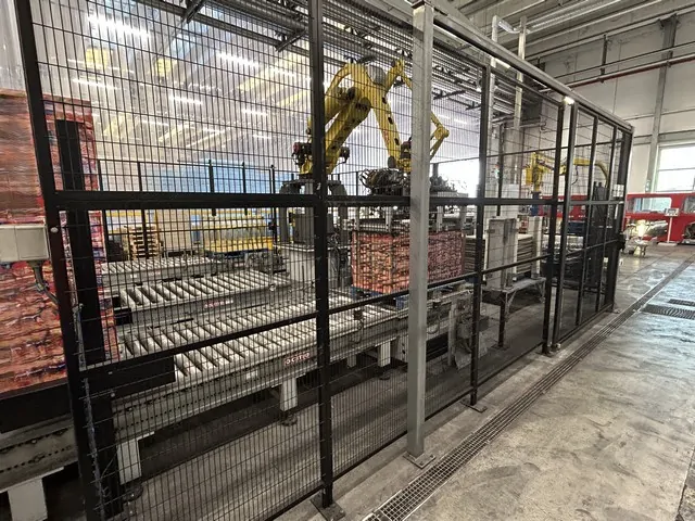 Used Depalletizer Ocme pegasus 160m Pallet Wrapper Tosa — 9