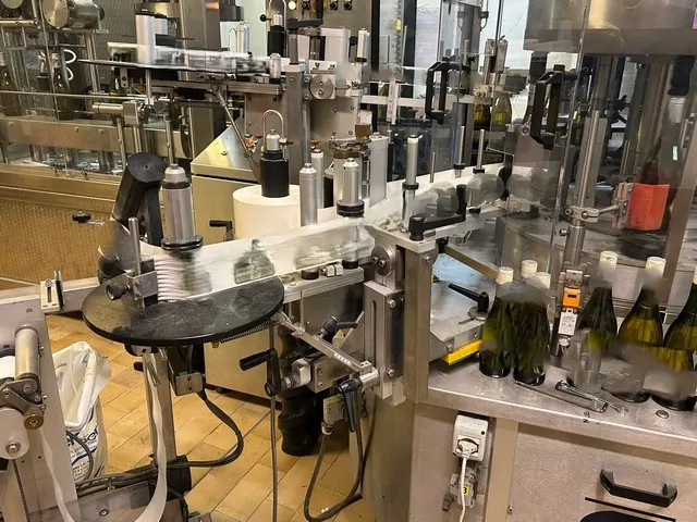 Used Labeller Cavagnino&Gatti 4.000 bph — 6