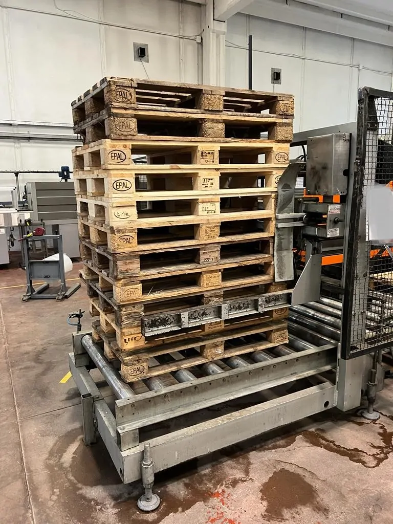 Used Palletizer Berchi Modular PT — 4