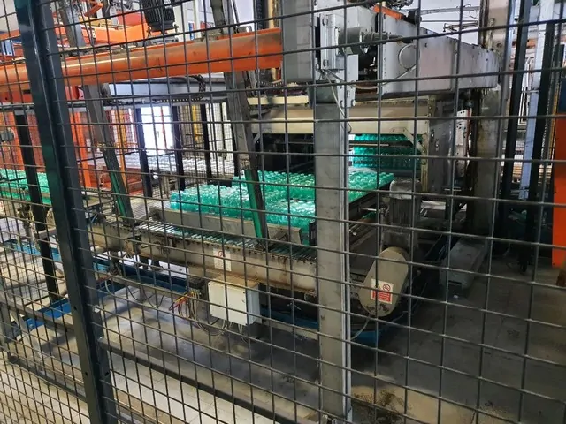Used Palletizer Levati PET — 2