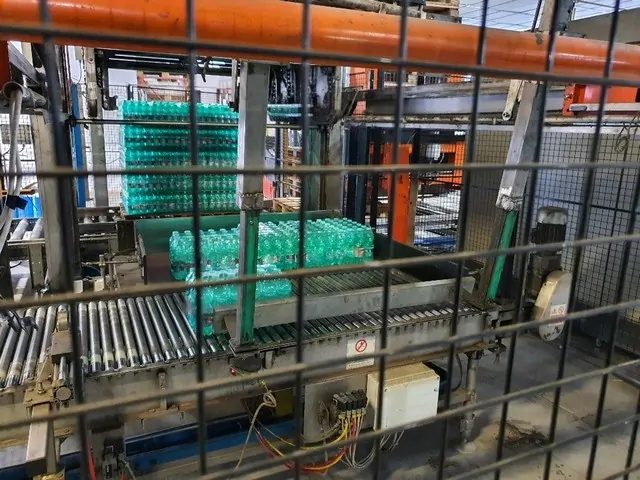 Used Palletizer Levati PET — 4