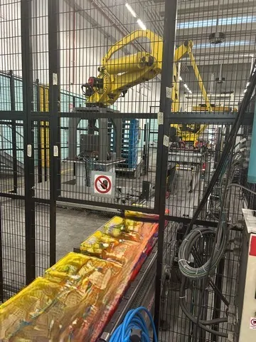 Used palletizer Ocme Pegaus 160 M — 4