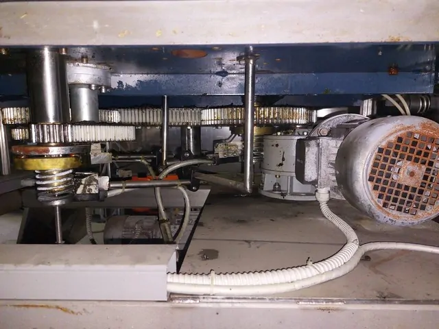 Used rinser Alfatek 3.300 bph — 8