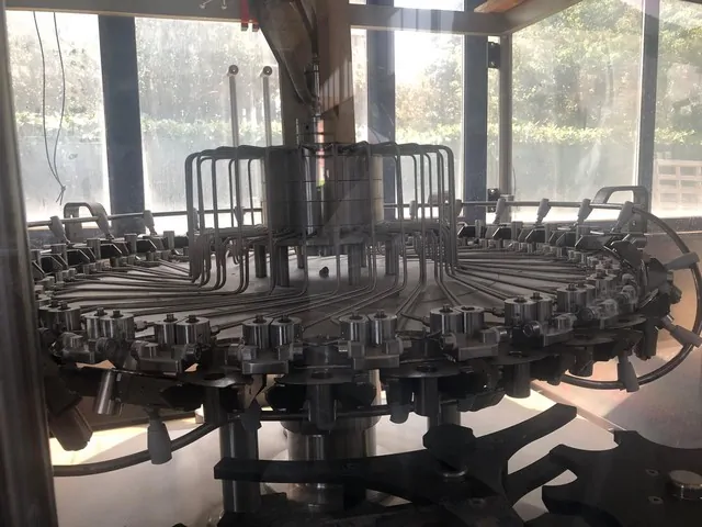 Used Rinser Gaviglio 10.000 bph — 9
