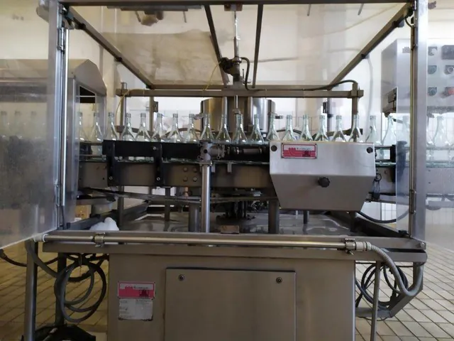 Used rinser Melegari 3.000 bph — 4