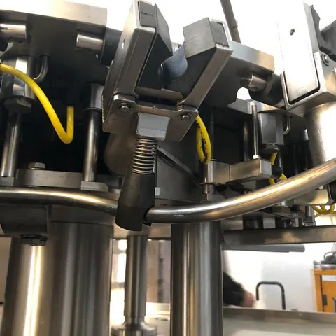 Used rinser Poggio 6.000 bph — 5